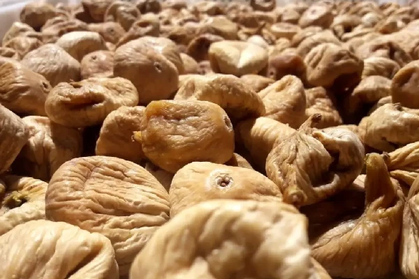انجیر خشک مشهد