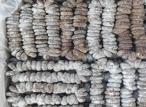 قیمت و خرید انجیر آردی نخی + فروش ارزان